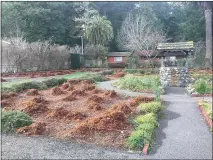  ?? RUTH SCHNEIDER — THE TIMES-STANDARD ?? The Sequoia Park Garden appears ready for winter on Sunday afternoon.