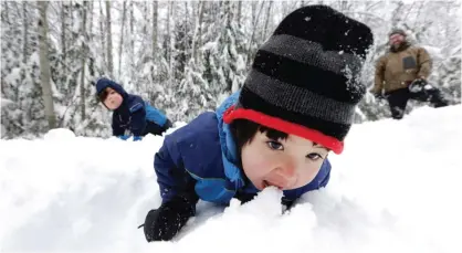  ??  ?? WASHINGTON: Leon Perkins, 3, leans forward to take a bite of snow as he plays with his brother Conner, left, 2, and his father Erin at Snoqualmie Pass. The Seattle family headed to the mountains Tuesday to enjoy the new snow that fell overnight. — AP