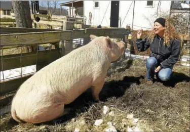  ?? PETER HVIZDAK - NEW HAVEN REGISTER ?? Children’s book author Kathleen Schurman with her pet pig Buttercup at her Bethany farm last week. Schurman has written a new farm adventure mystery book starring her late pet pig Ozzie.