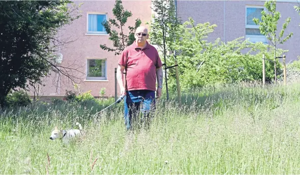  ??  ?? Vincent Leonard walks his dog Jack through the tall grass of Menzieshil­l Wood.