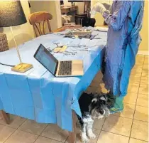  ?? COURTESY JEP ?? To continue learning while staying home, Marni Jameson’s daughter, a vet school student, performed mock surgery on synthetic animal organs over Zoom while her Schnoodle, Lou, watches nervously.