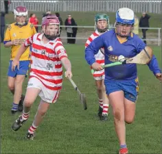  ??  ?? Oisín Cronin of Slíabh Bhuí Gaels tries to hook netminder Dylan Barry.