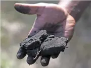  ?? (AFP) ?? A villager holding coal chunks from his field in Uncha Amirpur village, near the National Thermal Power Corporatio­n coal plant in Dadri