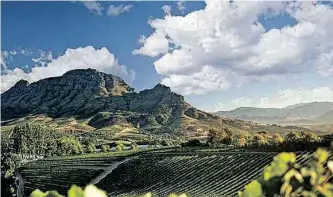  ?? | Instagram ?? TOUR South Africa’s wine valleys and experience the best in local wines.