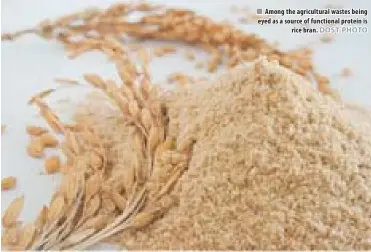  ??  ?? Among the agricultur­al wastes being eyed as a source of functional protein is rice bran.