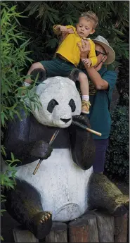  ?? ?? A visitor places his son on a panda statue Nov. 10 before taking a photo just outside the enclosure of Xin Xin.