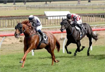  ??  ?? Scott Base, ridden by Danielle Johnson, on his way to taking out the Japan Trophy at Tauranga on Saturday.