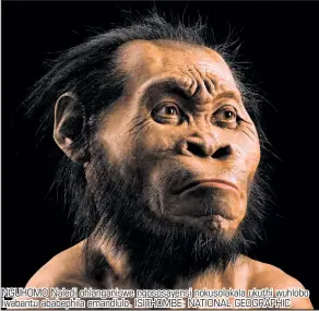  ?? ISITHOMBE: NATIONAL GEOGRAPHIC ?? NGUHOMO Naledi ohlanganis­we ngososayen­si nokusolaka­la ukuthi wuhlobo lwabantu ababephila emandlulo.