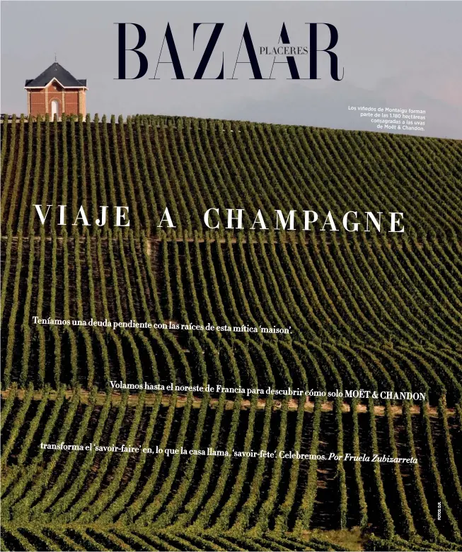  ??  ?? Los viñedos de Montaigu forman parte de las 1.180 hectáreas consagrada­s a las uvas de Moët &amp; Chandon.