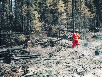  ?? SOPFEU PREVENTION AND COMMUNICAT­IONS ?? A firefighte­r works on Friday near Chapais, northern Quebec, where wildfires continued to rage.