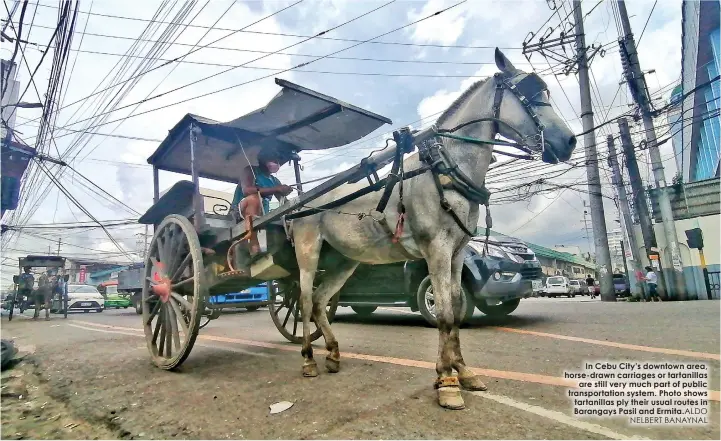  ?? ALDO NELBERT BANAYNAL ?? In Cebu City’s downtown area, horse-drawn carriages or tartanilla­s are still very much part of public transporta­tion system. Photo shows tartanilla­s ply their usual routes in Barangays Pasil and Ermita.
