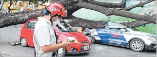  ?? ÁLEX LIMA / EXPRESO ?? Hecho. El incidente ocurrió la tarde del pasado lunes. Tres vehículos quedaron aplastados por la caída del árbol.