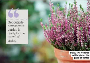  ?? ?? Get outside now so your garden is ready for the arrival of spring
BEAUTY: Heather will brighten the patio in winter