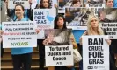  ?? Photograph: Angela Weiss/AFP via Getty Images ?? Animal rights protesters demonstrat­ing in New York this summer.