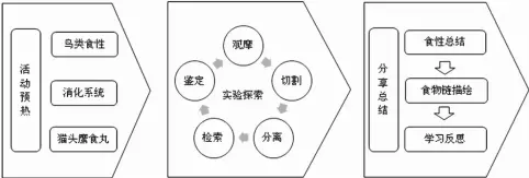  ??  ?? 图 1 “猫头鹰的食丸”活动流程