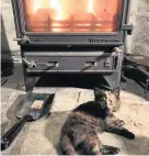  ?? Athwenna Irons ?? Pixie acting sweet and innocent lying in front of the fire