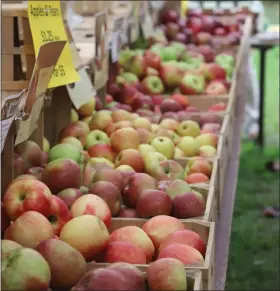  ?? FILE PHOTO ?? The Hay Creek Apple Festival at Joanna Furnace in Robeson Township on Oct. 8and 9will be filled with apples, pumpkins, hayrides and all things fall.