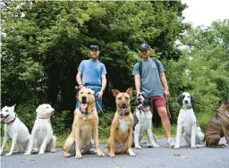  ?? ?? Martin, left, andBass pause briefly during a pack walk with their canine clients on Wednesday.