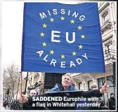  ??  ?? SADDENED Europhile with a flag in Whitehall yesterday