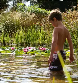  ??  ?? The natural pool now provides a place to swim, relax and watch wildlife, with a deck to one side providing a waterside eating spot and water plants that are a habitat for frogs and newts