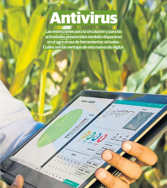  ?? (GENTILEZA KILIMO) ?? En la nube. Desde su casa, un productor puede ver cómo están los cultivos o si tiene que regar su campo. El interés por estos servicios se incrementó en los últimos días.