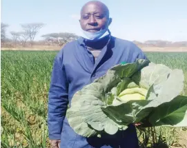  ??  ?? Ms Ropafadzo Lunga of Charter Seeds, Mr Simon Masocha of SM Luyando Irrigation Scheme and Mr Gilbert Makore (right) show the Orion Irati that is nearing maturity at Vashee Farm in Gweru, while picture right, Mr Makore shows off a head of a cabbage and the onions in the background at the farm