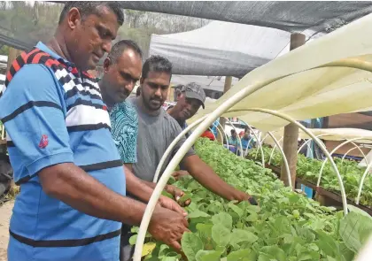  ??  ?? Farmers have been told to work with the Fiji Agromarket­ing Authority in the interest of commercial farming.