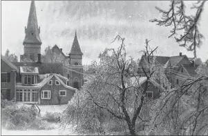  ?? FROM THE GEORGE DALTON COLLECTION ?? Ice damage to trees between the Wyatt and Dalton houses in Summerside in 1956.