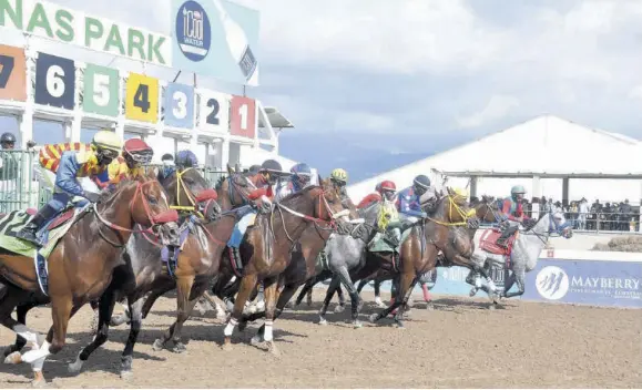 Eight years on: SVREL’S uphill battle to revive Jamaica’s horse racing ...