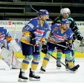  ??  ?? Alps League I nerostella­ti dell’Asiago questa sera sul ghiaccio dell’Odegar contro il Klagenfurt