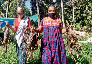  ?? — PTI ?? Women carry dead ducks in a village in Alappuzha district of Kerala on Tuesday. A special team of health officials has been deployed to cull the birds, in order to contain the further spread of the Avian Influenza ( bird flu).