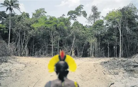  ?? L o Co /AP ?? Un jefe indígena observa un camino creado por madereros en la frontera entre la Reserva Biológica Serra do Cachimbo y las tierras indígenas Menkragnot­ire, en Altamira, en el
2019