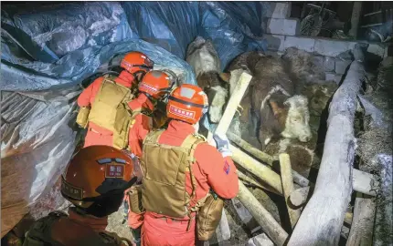  ?? Photo: CNS ?? Rescuers check for damage in a village in Aksu Prefecture in Northwest China’s Xinjiang Uygur Autonomous Region on January 23, 2024. A 7.1-magnitude earthquake jolted Wushi county in Aksu Prefecture in Xinjiang on the same day.