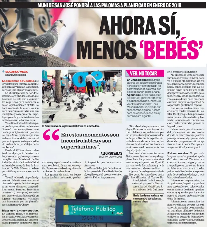  ??  ?? El Teatro Nacional sufre por la acidez que tiene la cuita de las populares aves. La fuente nueva de la plaza de la Cultura es su bebedero. Hacia donde uno vuelva a ver se encuentra con palomas, son una plaga.