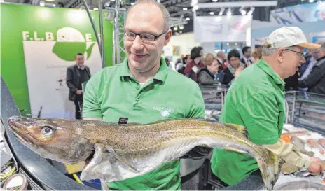  ?? FOTOS: DPA ?? Ein Fischhändl­er zeigt einen Skrei, der auch Winterkabe­ljau genannt wird. Diese Art liebt es eher kalt.