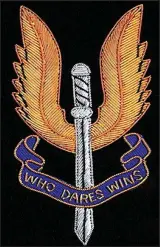  ??  ?? Who dares wins: The SAS badge