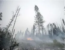  ?? DARRYL DYCK/THE CANADIAN PRESS ?? Smoke rises from an area burned by the Shovel Lake wildfire near Endako, B.C.