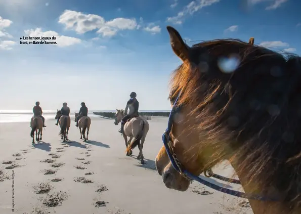  ??  ?? Les henson, joyaux du Nord, en Baie de Somme.