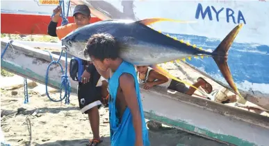  ??  ?? Occidental Mindoro is the emerging tuna capital of the Philippine­s after General Santos City. Member countries of the European Union buy only tuna caught in Occidental Mindoro through hook, line and sinker or ‘