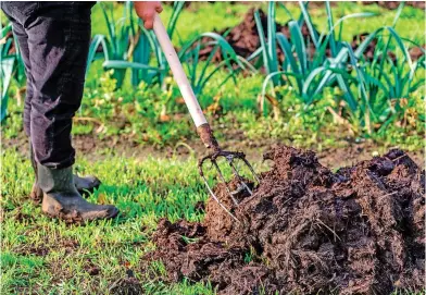  ?? ?? El tratamient­o del estiércol
Shuttersto­ck es una de las actividade­s que causa que el sector agro genere emisiones de metano.