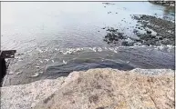  ?? Contribute­d photo ?? Dead fish are washing ashore in Darien and the surroundin­g area.
