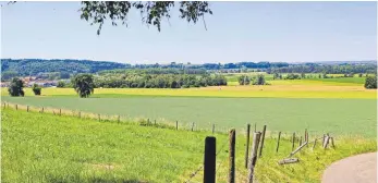  ?? FOTO: ANDREAS SPENGLER ?? Blick von Höfen auf die Fläche, wo das IGI entstehen könnte, hinter der Landstraße 267.