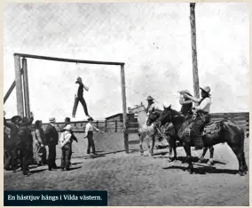  ??  ?? En hästtjuv hängs i Vilda västern.