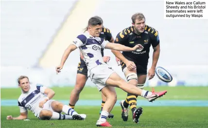  ??  ?? New Wales ace Callum Sheedy and his Bristol teammates were left outgunned by Wasps