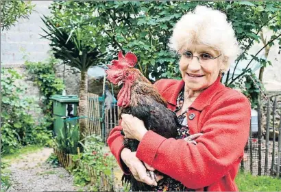  ?? XAVIER LEOTY / AFP ?? Héroe local. El gallo más famoso de Saint-pierre-d’oléron posa junto a su propietari­a