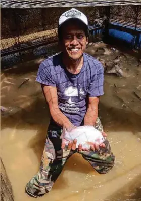  ??  ?? Amerul sudah lama memendam hasrat berniaga ikan patin selama menetap di Temerloh. Foto ihsan Amerul Affendi