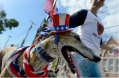  ?? Michael Henninger/Post-Gazette ?? Going Home Greyhounds, an organizati­on that finds homes for retired racing greyhounds, marches in Sewickley’s Memorial Day Parade in 2015.