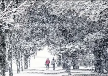  ?? CP PHOTO ?? Pedestrian­s are framed by a canopy of trees as snow falls in Vancouver, B.C. One of Canada’s most high-profile weather forecaster­s says spring will be a little late this year.