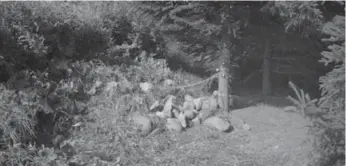  ??  ?? The scene where Tori Stafford’s body was found — under a pile of rocks in a secluded laneway in Mount Forest.