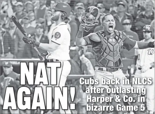  ?? EPA ?? OUTTA THERE! Catcher Willson Contreras erupts in celebratio­n as the Nationals’ Bryce Harper strikes out to end the Cubs’ 9-8 victory in Game 5 of the NLDS, sending Chicago back to the NLCS — and handing Washington yet another title-less season.